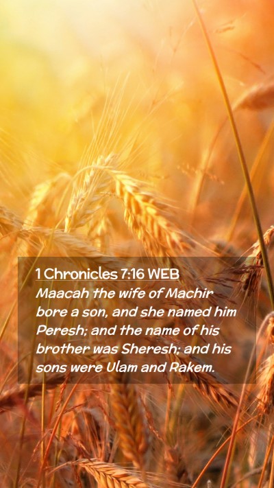 Picture 02 - 1 Chronicles 7:16 WEB Mobile Phone Wallpaper - Maacah the wife of Machir bore a son, and she - Mobile Bible Verse Wallpaper