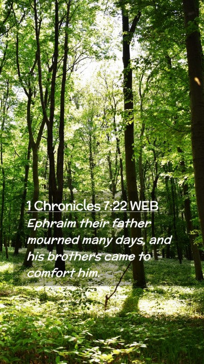 Picture 02 - 1 Chronicles 7:22 WEB Mobile Phone Wallpaper - Ephraim their father mourned many days, and his - Mobile Bible Verse Wallpaper