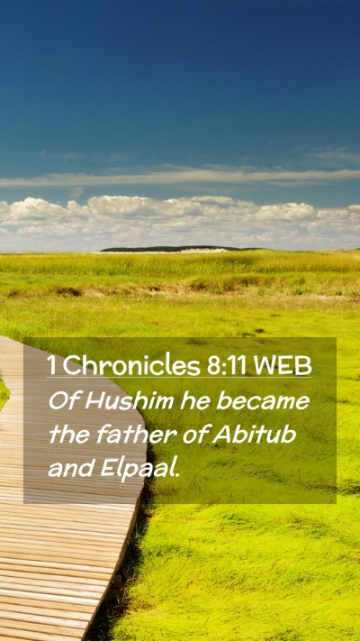 Picture 02 - 1 Chronicles 8:11 WEB Mobile Phone Wallpaper - Of Hushim he became the father of Abitub and - Mobile Bible Verse Wallpaper