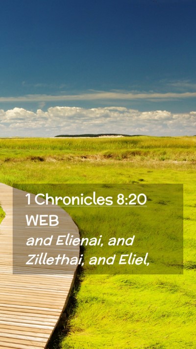 Picture 02 - 1 Chronicles 8:20 WEB Mobile Phone Wallpaper - and Elienai, and Zillethai, and - Mobile Bible Verse Wallpaper