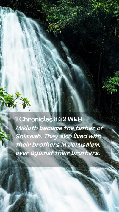 Picture 02 - 1 Chronicles 8:32 WEB Mobile Phone Wallpaper - Mikloth became the father of Shimeah. They also - Mobile Bible Verse Wallpaper