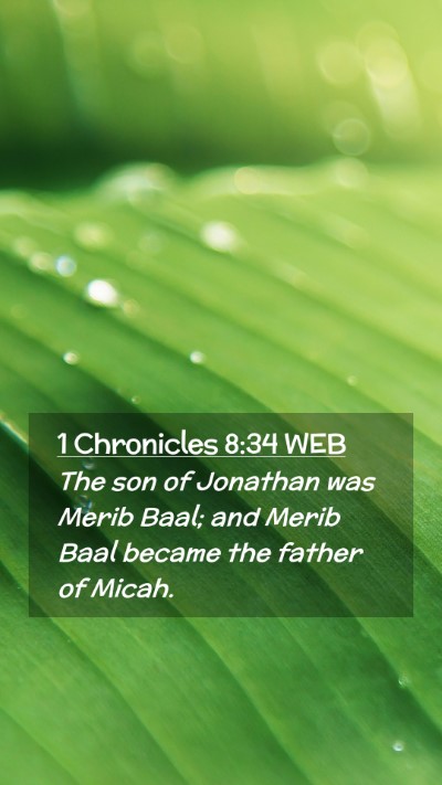 Picture 02 - 1 Chronicles 8:34 WEB Mobile Phone Wallpaper - The son of Jonathan was Merib Baal; and Merib - Mobile Bible Verse Wallpaper