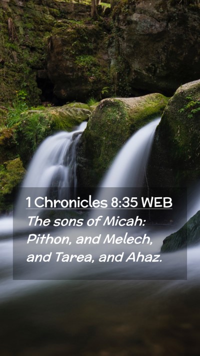 Picture 02 - 1 Chronicles 8:35 WEB Mobile Phone Wallpaper - The sons of Micah: Pithon, and Melech, and Tarea, - Mobile Bible Verse Wallpaper
