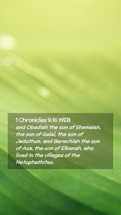 Picture 02 - 1 Chronicles 9:16 WEB Mobile Phone Wallpaper - and Obadiah the son of Shemaiah, the son of - Mobile Bible Verse Wallpaper
