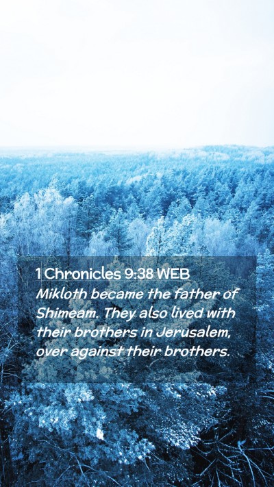 Picture 02 - 1 Chronicles 9:38 WEB Mobile Phone Wallpaper - Mikloth became the father of Shimeam. They also - Mobile Bible Verse Wallpaper