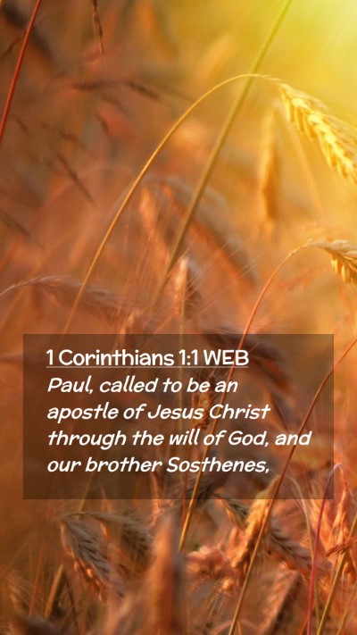 Picture 02 - 1 Corinthians 1:1 WEB Mobile Phone Wallpaper - Paul, called to be an apostle of Jesus Christ - Mobile Bible Verse Wallpaper