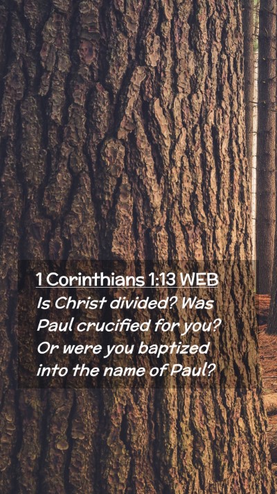 Picture 02 - 1 Corinthians 1:13 WEB Mobile Phone Wallpaper - Is Christ divided? Was Paul crucified for you? Or - Mobile Bible Verse Wallpaper
