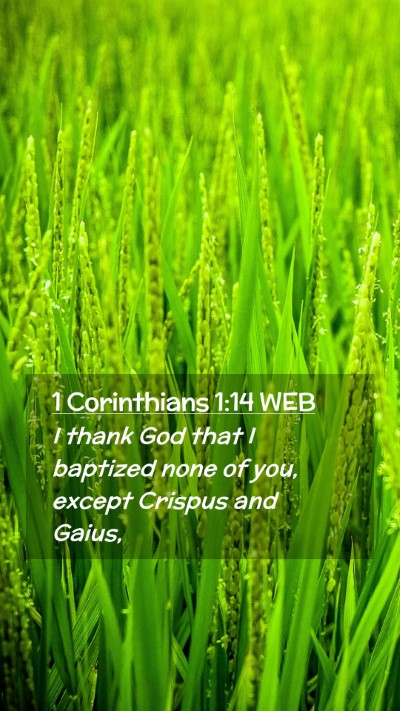 Picture 02 - 1 Corinthians 1:14 WEB Mobile Phone Wallpaper - I thank God that I baptized none of you, except - Mobile Bible Verse Wallpaper