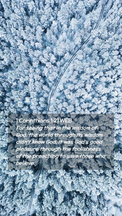Picture 02 - 1 Corinthians 1:21 WEB Mobile Phone Wallpaper - For seeing that in the wisdom of God, the world - Mobile Bible Verse Wallpaper