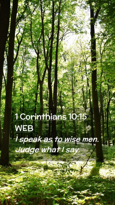 Picture 02 - 1 Corinthians 10:15 WEB Mobile Phone Wallpaper - I speak as to wise men. Judge what I - Mobile Bible Verse Wallpaper