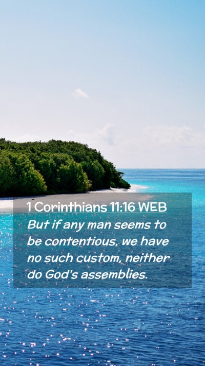 Picture 02 - 1 Corinthians 11:16 WEB Mobile Phone Wallpaper - But if any man seems to be contentious, we have - Mobile Bible Verse Wallpaper