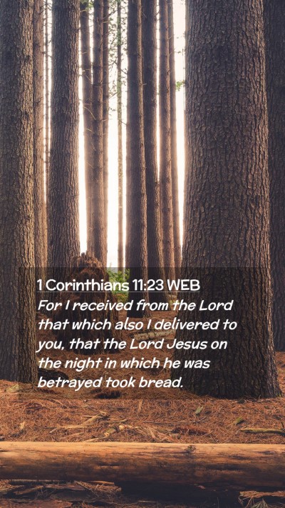 Picture 02 - 1 Corinthians 11:23 WEB Mobile Phone Wallpaper - For I received from the Lord that which also I - Mobile Bible Verse Wallpaper