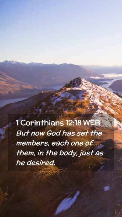 Picture 02 - 1 Corinthians 12:18 WEB Mobile Phone Wallpaper - But now God has set the members, each one of - Mobile Bible Verse Wallpaper