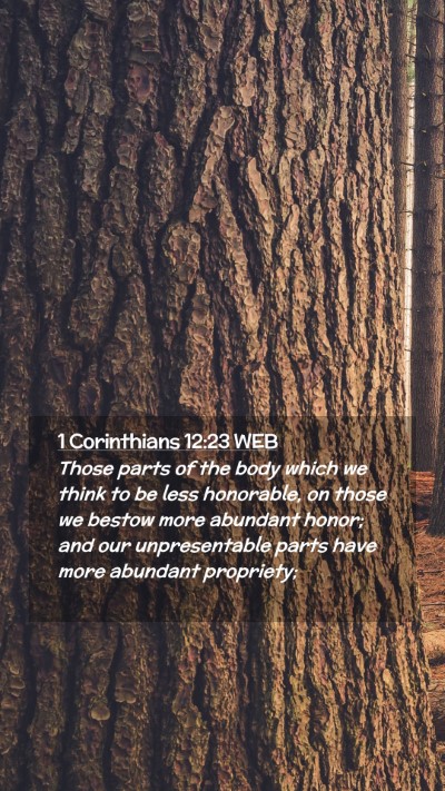 Picture 02 - 1 Corinthians 12:23 WEB Mobile Phone Wallpaper - Those parts of the body which we think to be less - Mobile Bible Verse Wallpaper