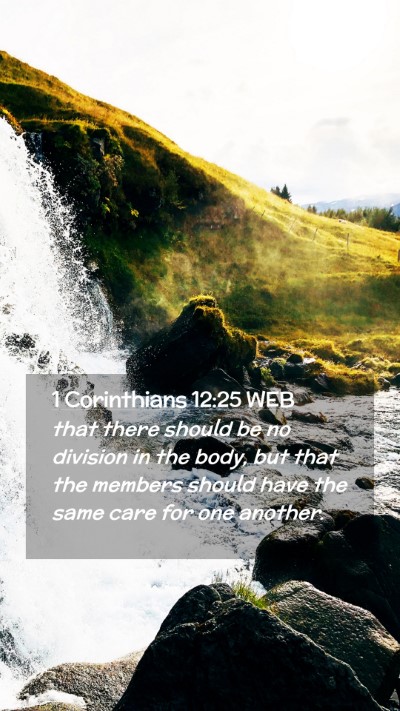 Picture 02 - 1 Corinthians 12:25 WEB Mobile Phone Wallpaper - that there should be no division in the body, but - Mobile Bible Verse Wallpaper