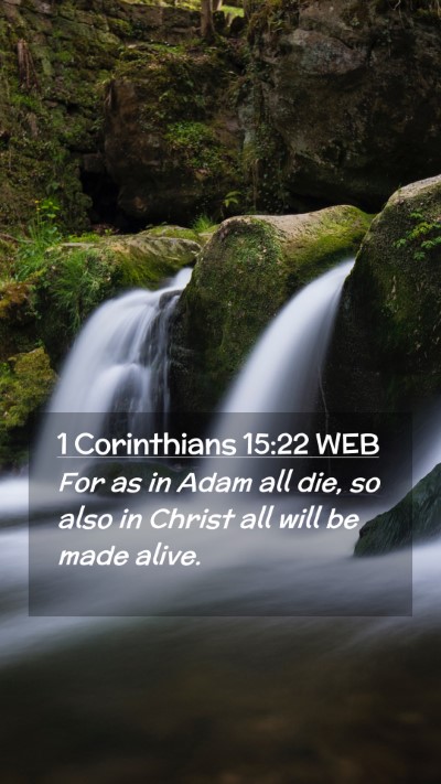 Picture 02 - 1 Corinthians 15:22 WEB Mobile Phone Wallpaper - For as in Adam all die, so also in Christ all - Mobile Bible Verse Wallpaper