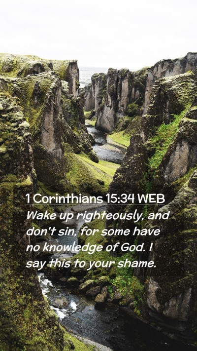 Picture 02 - 1 Corinthians 15:34 WEB Mobile Phone Wallpaper - Wake up righteously, and don't sin, for some have - Mobile Bible Verse Wallpaper