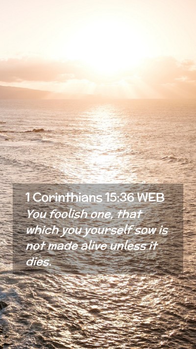Picture 02 - 1 Corinthians 15:36 WEB Mobile Phone Wallpaper - You foolish one, that which you yourself sow is - Mobile Bible Verse Wallpaper
