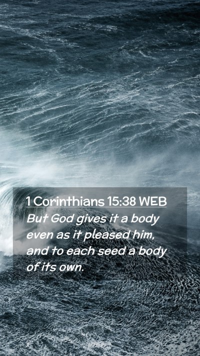 Picture 02 - 1 Corinthians 15:38 WEB Mobile Phone Wallpaper - But God gives it a body even as it pleased him, - Mobile Bible Verse Wallpaper