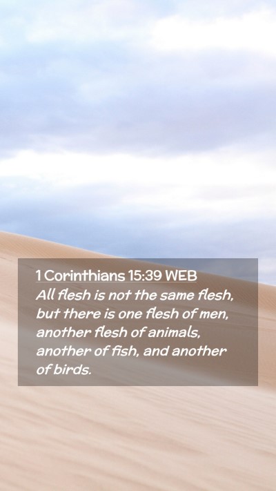 Picture 02 - 1 Corinthians 15:39 WEB Mobile Phone Wallpaper - All flesh is not the same flesh, but there is one - Mobile Bible Verse Wallpaper