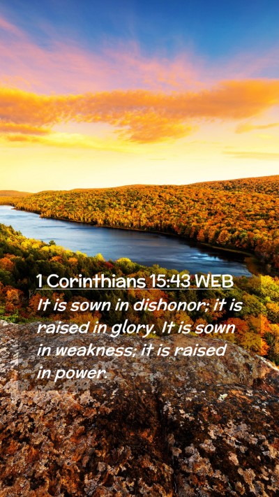 Picture 02 - 1 Corinthians 15:43 WEB Mobile Phone Wallpaper - It is sown in dishonor; it is raised in glory. It - Mobile Bible Verse Wallpaper