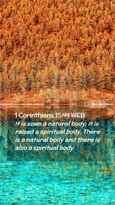 Picture 02 - 1 Corinthians 15:44 WEB Mobile Phone Wallpaper - It is sown a natural body; it is raised a - Mobile Bible Verse Wallpaper