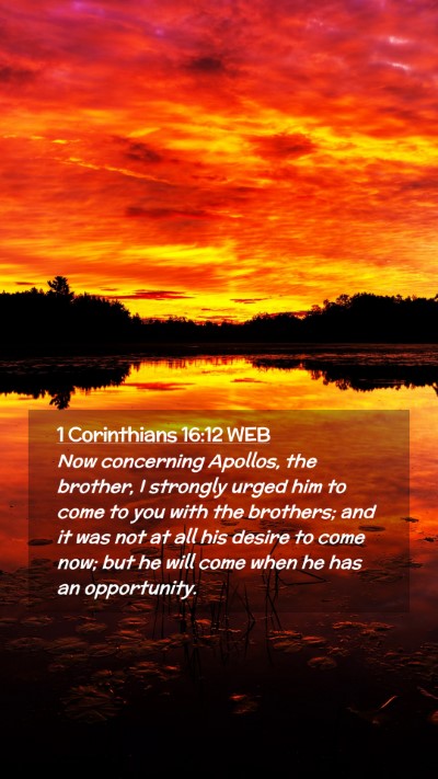 Picture 02 - 1 Corinthians 16:12 WEB Mobile Phone Wallpaper - Now concerning Apollos, the brother, I strongly - Mobile Bible Verse Wallpaper
