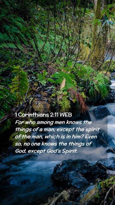 Picture 02 - 1 Corinthians 2:11 WEB Mobile Phone Wallpaper - For who among men knows the things of a man, - Mobile Bible Verse Wallpaper