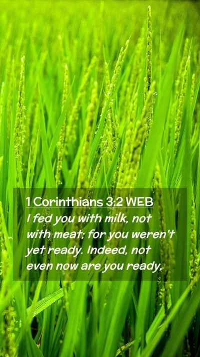 Picture 02 - 1 Corinthians 3:2 WEB Mobile Phone Wallpaper - I fed you with milk, not with meat; for you - Mobile Bible Verse Wallpaper
