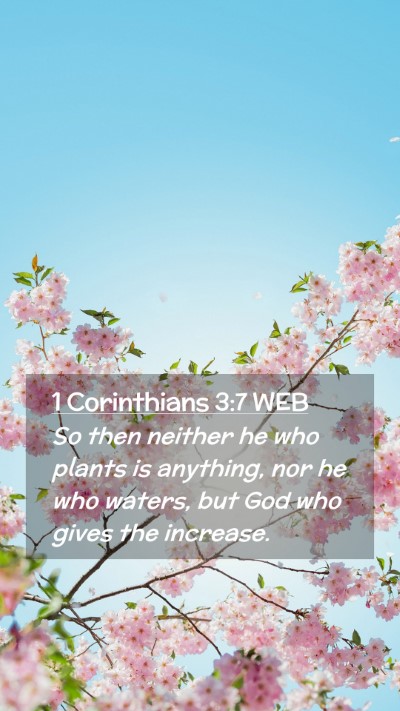 Picture 02 - 1 Corinthians 3:7 WEB Mobile Phone Wallpaper - So then neither he who plants is anything, nor he - Mobile Bible Verse Wallpaper