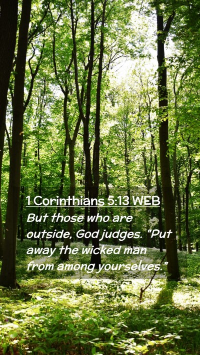 Picture 02 - 1 Corinthians 5:13 WEB Mobile Phone Wallpaper - But those who are outside, God judges. 