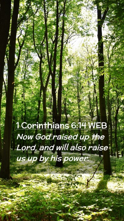 Picture 02 - 1 Corinthians 6:14 WEB Mobile Phone Wallpaper - Now God raised up the Lord, and will also raise - Mobile Bible Verse Wallpaper