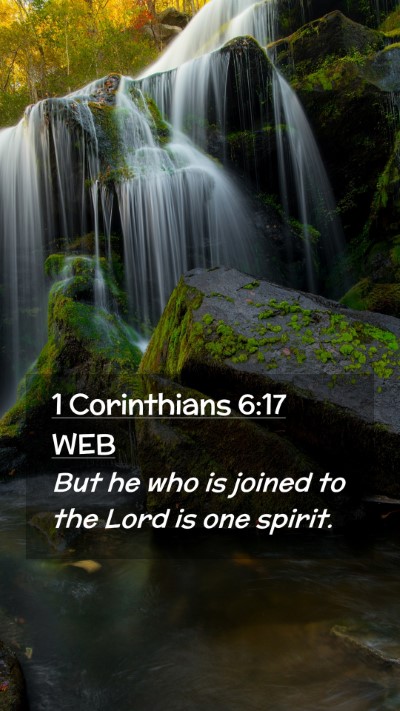 Picture 02 - 1 Corinthians 6:17 WEB Mobile Phone Wallpaper - But he who is joined to the Lord is one - Mobile Bible Verse Wallpaper