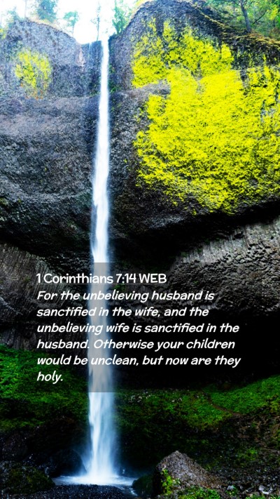 Picture 02 - 1 Corinthians 7:14 WEB Mobile Phone Wallpaper - For the unbelieving husband is sanctified in the - Mobile Bible Verse Wallpaper