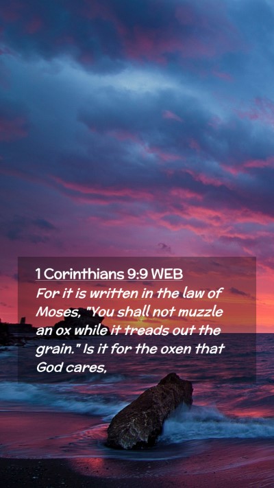 Picture 02 - 1 Corinthians 9:9 WEB Mobile Phone Wallpaper - For it is written in the law of Moses, 