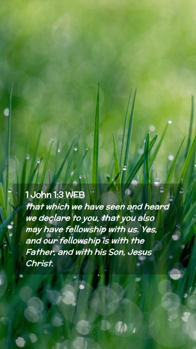 Picture 02 - 1 John 1:3 WEB Mobile Phone Wallpaper - that which we have seen and heard we declare to - Mobile Bible Verse Wallpaper