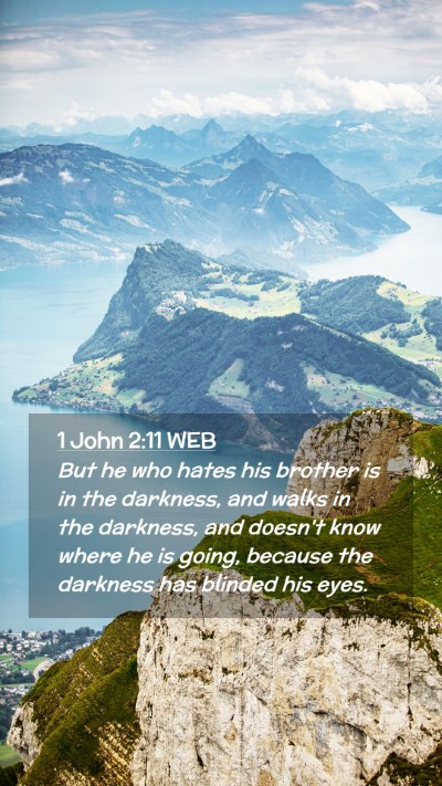 Picture 02 - 1 John 2:11 WEB Mobile Phone Wallpaper - But he who hates his brother is in the darkness, - Mobile Bible Verse Wallpaper