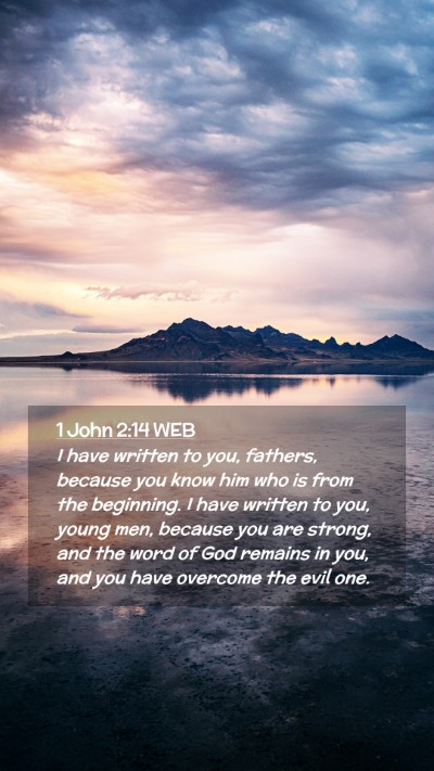 Picture 02 - 1 John 2:14 WEB Mobile Phone Wallpaper - I have written to you, fathers, because you know - Mobile Bible Verse Wallpaper