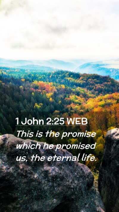 Picture 02 - 1 John 2:25 WEB Mobile Phone Wallpaper - This is the promise which he promised us, the - Mobile Bible Verse Wallpaper