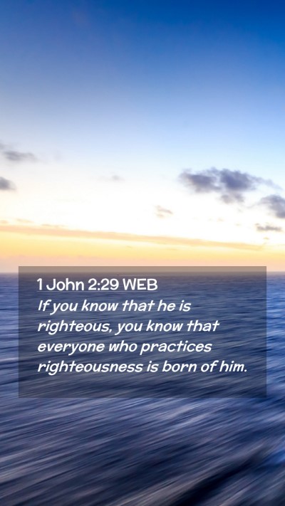 Picture 02 - 1 John 2:29 WEB Mobile Phone Wallpaper - If you know that he is righteous, you know that - Mobile Bible Verse Wallpaper