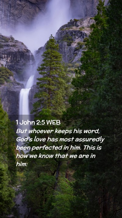 Picture 02 - 1 John 2:5 WEB Mobile Phone Wallpaper - But whoever keeps his word, God's love has most - Mobile Bible Verse Wallpaper