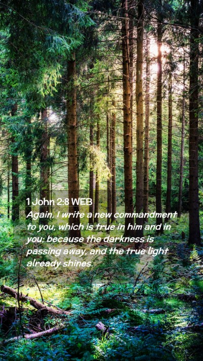 Picture 02 - 1 John 2:8 WEB Mobile Phone Wallpaper - Again, I write a new commandment to you, which is - Mobile Bible Verse Wallpaper