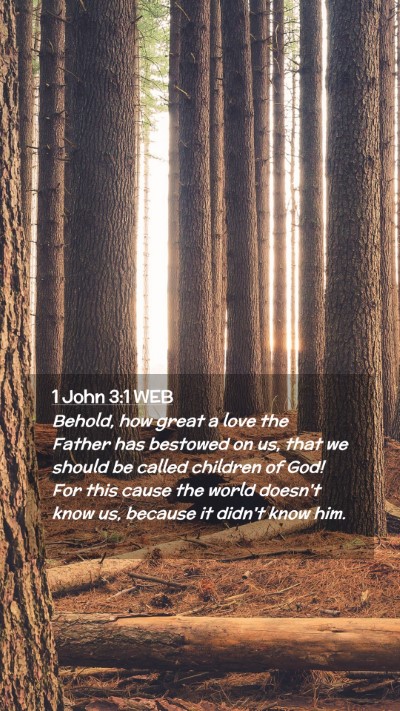 Picture 02 - 1 John 3:1 WEB Mobile Phone Wallpaper - Behold, how great a love the Father has bestowed - Mobile Bible Verse Wallpaper
