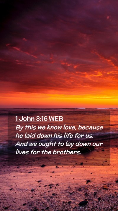 Picture 02 - 1 John 3:16 WEB Mobile Phone Wallpaper - By this we know love, because he laid down his - Mobile Bible Verse Wallpaper
