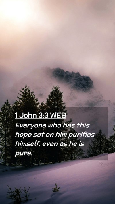 Picture 02 - 1 John 3:3 WEB Mobile Phone Wallpaper - Everyone who has this hope set on him purifies - Mobile Bible Verse Wallpaper