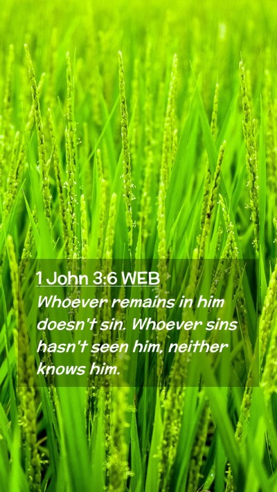 Picture 02 - 1 John 3:6 WEB Mobile Phone Wallpaper - Whoever remains in him doesn't sin. Whoever sins - Mobile Bible Verse Wallpaper