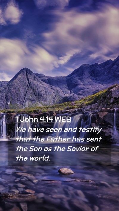 Picture 02 - 1 John 4:14 WEB Mobile Phone Wallpaper - We have seen and testify that the Father has sent - Mobile Bible Verse Wallpaper