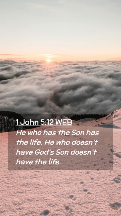 Picture 02 - 1 John 5:12 WEB Mobile Phone Wallpaper - He who has the Son has the life. He who doesn't - Mobile Bible Verse Wallpaper