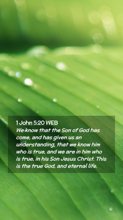 Picture 02 - 1 John 5:20 WEB Mobile Phone Wallpaper - We know that the Son of God has come, and has - Mobile Bible Verse Wallpaper