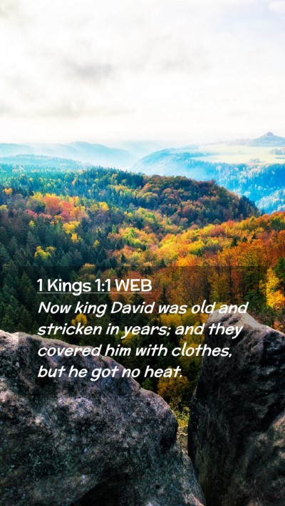 Picture 02 - 1 Kings 1:1 WEB Mobile Phone Wallpaper - Now king David was old and stricken in years; and - Mobile Bible Verse Wallpaper